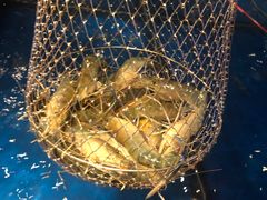 -钳真多钓虾馆·小龙虾海鲜烧烤(九六广场店)