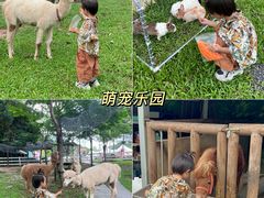 -云栖山谷野奢营地