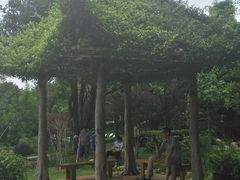 -东莞植物园