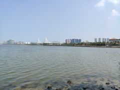 -万绿园