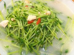 上汤豆苗-陆小凤四川料理(北京路店)