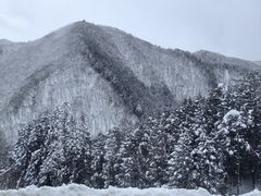 -白川乡与五箇山的合掌构造村落
