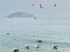 -傅家庄公园