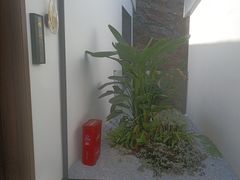 -雅苑中餐厅