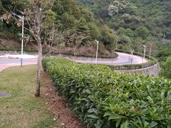 -火炉山森林公园