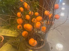 -雅和生态渔庄·宜城锅巴饭(龙灵山公园店)