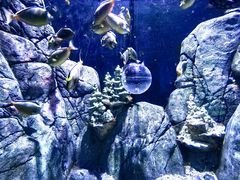 -成都浩海立方海洋公园