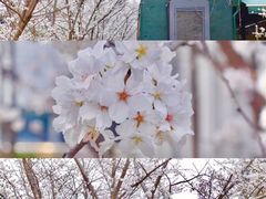 -新天地活力PARK