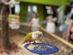 -北京野生动物园