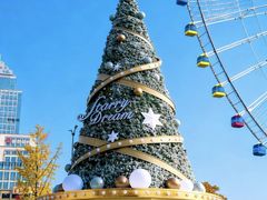 -南昌之星摩天轮