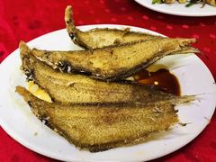 -蛇口康乐快餐鱼仔档(翠苑小区店)