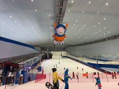 -哈尔滨热雪奇迹