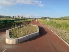 -御道口草原森林风景区