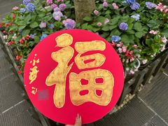 -峨眉山报国寺