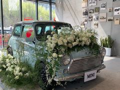 -上海普陀宝诚MINI4S店(红柳路店)