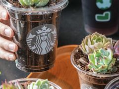 -星巴克臻选(沈阳万象城店)