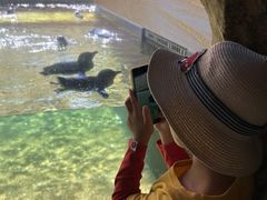 -悉尼海洋生物水族馆