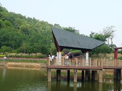 -神光山国家森林公园