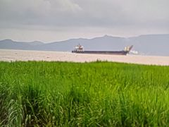 -阿南海鲜