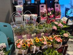 -盒马鲜生(大成店)