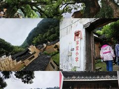 -杨家堂村