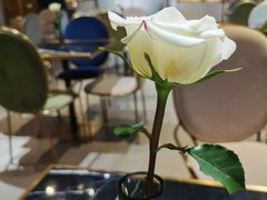 -朱迪小铺.半糖奶油蛋糕(海汇港店)