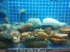 -徽三说·土徽菜·中国徽菜连锁品牌(一中店)