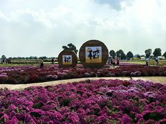 -嘉北郊野公园