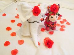 iphone_upload_pic-杭州龙禧福朋喜来登酒店