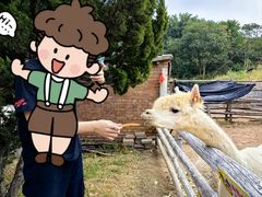 -清风小镇闯关东影视基地