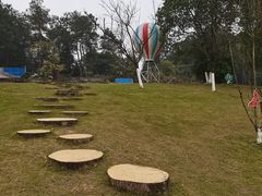 -铁山坪森林公园