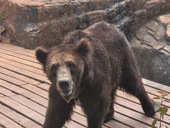 -海南热带野生动植物园