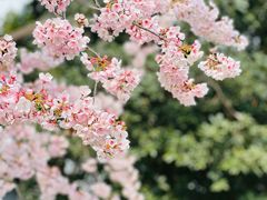 -静安雕塑公园