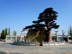 -福如东海文化园