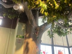 -仙踪林(惠润广场店)