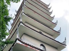 -生宇山珍野生菌汤锅•始于2002(双流古塔店)