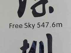 -平安金融中心云际观光层