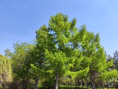 -长春公园(普阳街道)