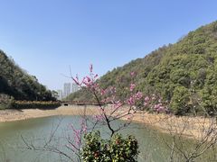 -桃花岭景区