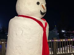 -长白山万达喜来登度假酒店