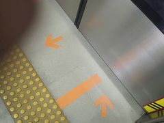 -中国宋庆龄青少年科技文化交流中心