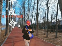 -东郊湿地公园
