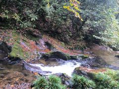 -龙苍沟森林公园