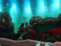 美人鱼表演3-瑞德姆美人鱼海底演艺主题餐厅(亚龙湾店)