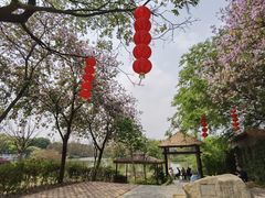-海珠湖公园