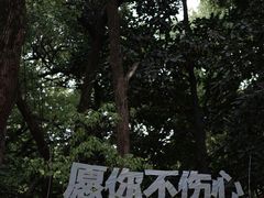 -杭州植物园