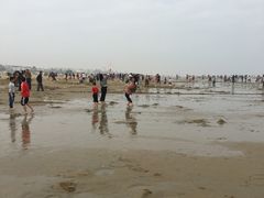 -东海岛旅游度假区