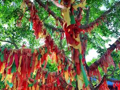 -石岛赤山风景区