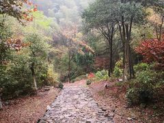 -仙霞关景区