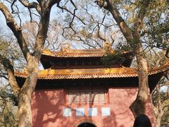 -普陀山风景名胜区-法雨禅寺